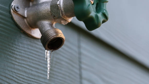 Best Plumbing Repair Near Me  in Campbellsville, KY